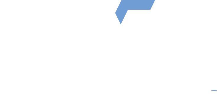 Viston Logo